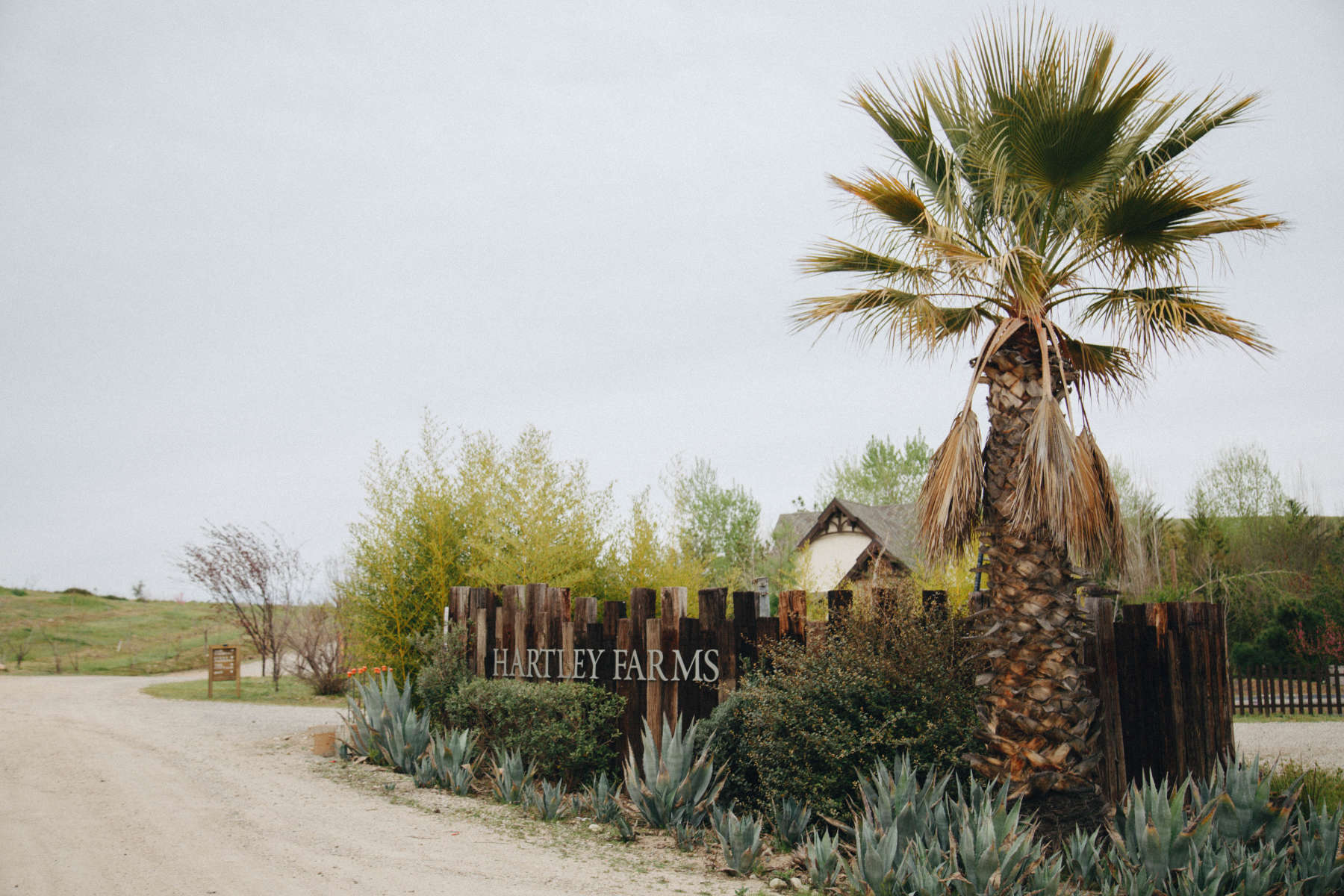 organic-farm-in-wine-country